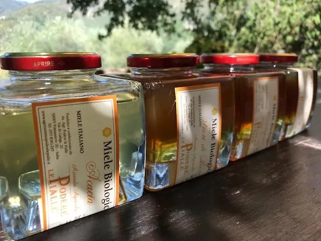 Agriturismo Podere Le Pialle Pontassieve 0*,  Italië