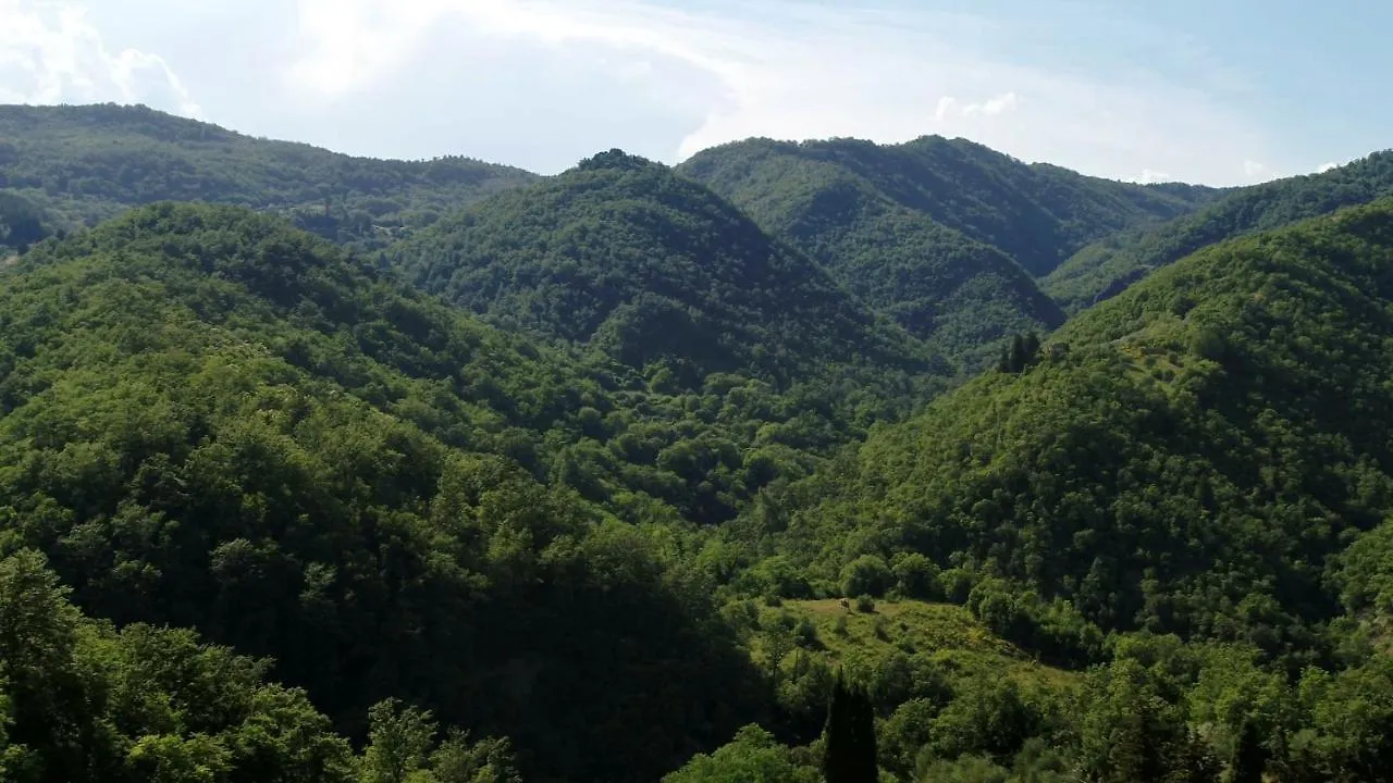 Vakantieboerderij Agriturismo Podere Le Pialle Pontassieve
